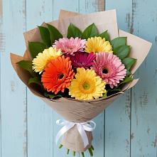 Букет цветов из:  Герберы #REPLACE_PRED# Чернушке