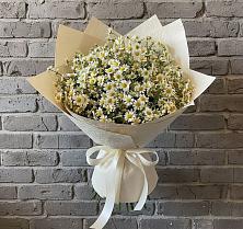 Букет цветов из:  Ромашки #REPLACE_PRED# Чернушке