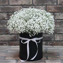 Цветочная композиция из Гипсофила в шляпной коробке в Чернушке
