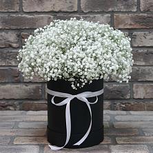 Цветочная композиция из Гипсофила в шляпной коробке в Чернушке