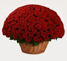 Премиум букет из: Розы в Чернушке